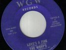 BFTG GARAGE on WGW-18703-WERPS-