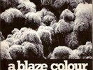 A BLAZE COLOUR - Dark trees beyond / Belgian Punk 45