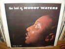 MUDDY WATERS 