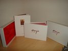 Enya - Amarantine Ltd Edition Boxed Book #61 Roma Ryan