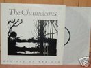 The Chameleons Eclipse Of The Sun RARE LP + 3 signed
