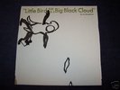 Microphones - Little Bird Flies Into A Big Black Cloud