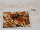 LITFIBA/DIAFRAMMA:LP-AMSTERDAM-VINILE TRASPARENTE+TESTI