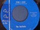 HATFIELDS YES I DO RARE GARAGE PSYCH 45 LISTEN