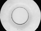 LEE PERRY PUSSY GALORE / BLANK UNKNOWN STUDIO 1 LISTEN