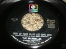 NORTHERN SOUL 45/ THE MAMSELLES 