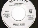 Northern Soul COULD IT BE YOU Sharon Scott  DJ Copy VG+