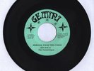 GEMINI/MESSAGE FROM TH CONGO - BOB SOUL [ROOTS REGGAE]