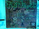 FALLEN ANGELS It's a Long Way Down MINT RARE psych LP