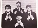 Beatles Leave My Kitten Alone  - USA SLEEVE ONLY -  RARE