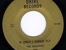 PROLIFICS on DRIVE (Miami Florida 60s Soul) - HEAR IT