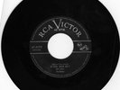 RARE DOO WOP 45rpm The Robins on RCA 5175