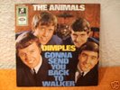 The Animals