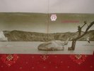 TONTON MACOUTE 1st LP 1971 RCA NEON 1st 