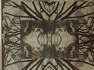RAW HONEY - RAGWEED - PRIVATE HIPPIE FOLK PSYCH LP SS 
