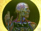 Tool Picture Disc Ltd.Ed Promo Lateralus LP 500 only