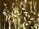 NURSE WITH WOUND insect & individual silenced LP NWW EX