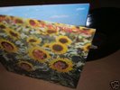 SUNNYBOYS Individuals LP VINYL 1982 Sunny Boys