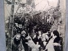 TREE LP - PRIVATE IA. HIPPIE PSYCH LP-GOAT FARM LABEL
