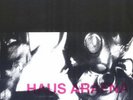 Haus Arafna - Sex / U-Mas 7