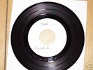 YOUTH BRIGADE POSSIBLE TEST PRESS DISCHORD SXE PUNK KBD