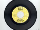 Like My Baby  Gino Washington On Mala   NORTHERN  SOUL