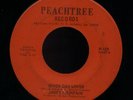 JAMES FOUNTAIN SEVEN DAY LOVER PEACHTREE NORTHERN SOUL