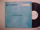 Bluebyrd LP Private MN Soft Psych Sweet Thoughts