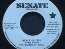 The Basement Wall Senate DJ Psych Garage 45 45rpm