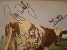 PINK FLOYD SIGNED 