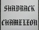 SHADRACK - CHAMELEON-  US GARAGE PSYCH FOLK - SEALED