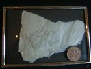 lovely little ELVIS PRESLEY signed paper  autograph