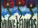 YOUNG FLOWERS/Blomsterpistolen/Danish Psych-Prog LP