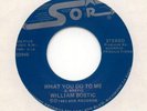 WILLIAM BOSTIC What You Do To Me US 45's MODERN SOUL