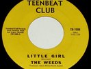 THE WEEDS It's Your Time 1966 GARAGE PUNK - NO RESERVE