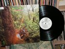 Douglas Fir  Hard Heartsingin' LP QUAD Rec wht lbl Mint