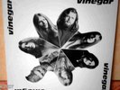 VINEGAR - RARE PRIVATE GERMAN KRAUT PSYCH LP 1971 MINT