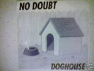 No Doubt, DOGHOUSE 7