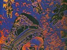 MANO LOPEZ  LATIN FUZZ PSYCH DRUMS LOOPS Hear