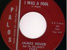 Rockabilly Doo wop 45-JAMES BRUCE-I was a fool  HEAR