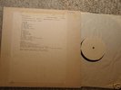 Dinosaur Jr.   First LP Homestead TEST PRESSING
