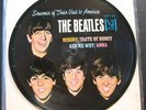 Beatles Souvenir of their Visit to America Picture Disc