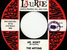 RARE DOO WOP - MOTIONS - MR. NIGHT - LAURIE - HEAR