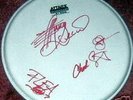 WOW Signed RED HOT CHILLI PEPPERS Autographed DRUMSKIN