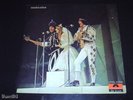MUTANTES 1969 MONO Psych Brazil LP Dom Quixote