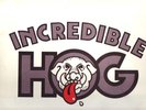 INCREDIBLE HOG Vol. 1 UK Dart 1973 orig hard rock prog