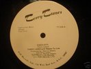 12''DISCO - TERRY LEWIS - DISCO CITY