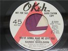 Northern Soul 45-Sandi Sheldon-You're Gonna Make Me-DJ