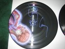 Tool Lateralus Signed lp , not Undertow , Aenima
