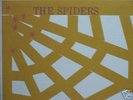 Spiders 